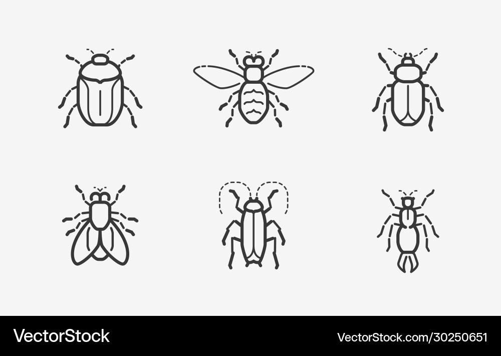 Insects icon set in linear style Royalty Free Vector Image