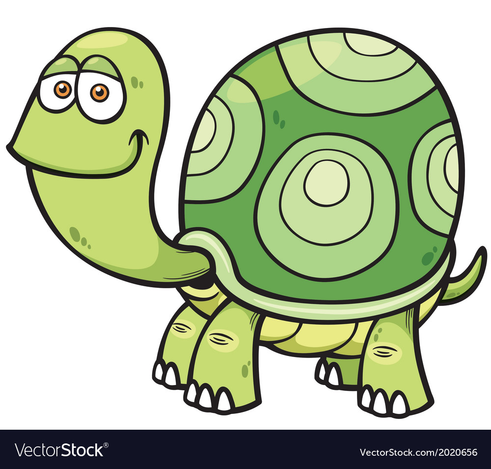 Turtle Royalty Free Vector Image - VectorStock