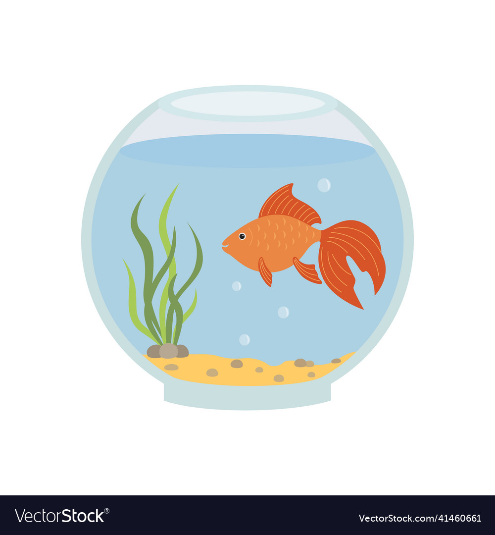 Round aquarium with goldfish Royalty Free Vector Image