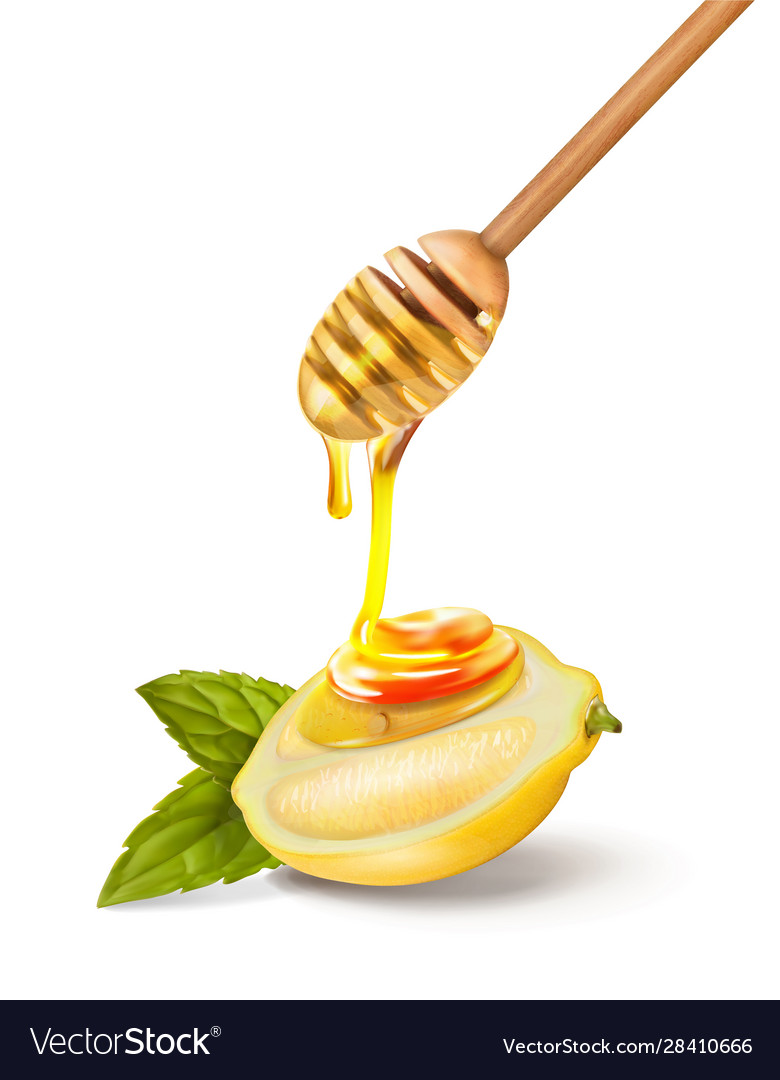 Honey spoon Royalty Free Vector Image VectorStock