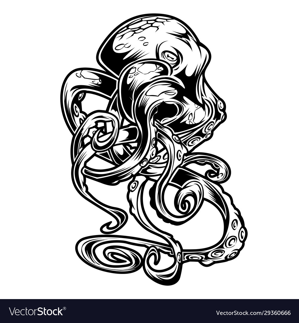 Octopus drawing black amp white 1 Royalty Free Vector Image