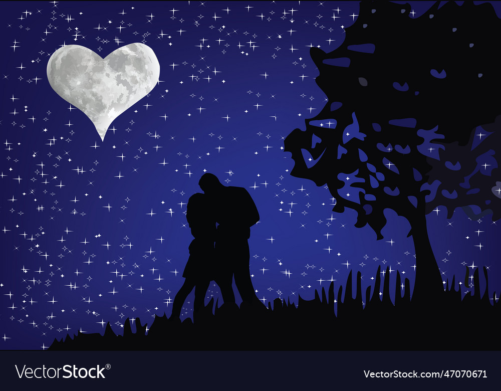 Couple of lovers kiss under the starry sky