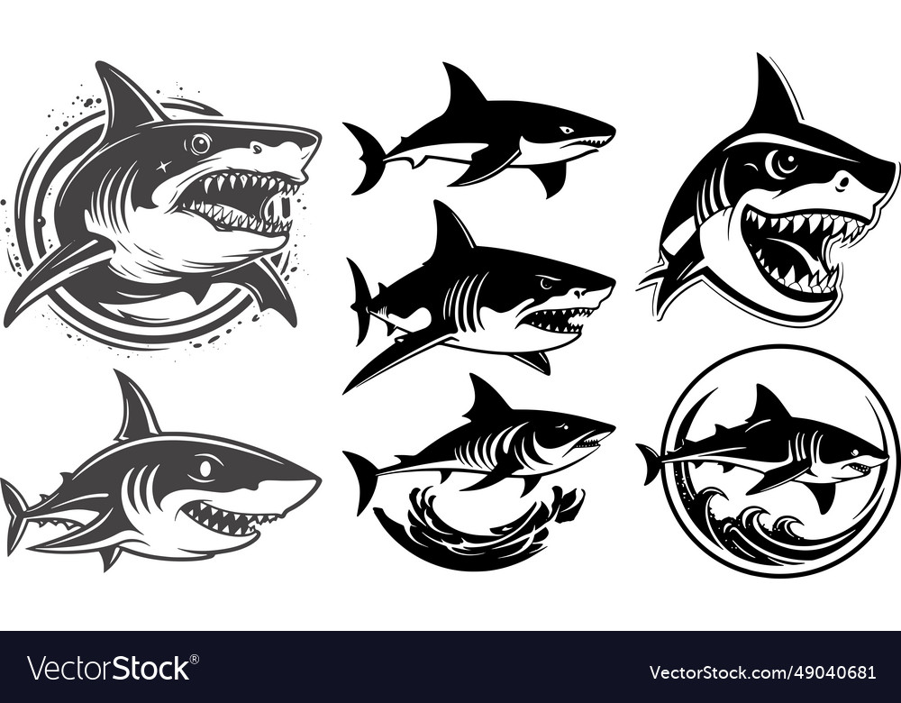 Cartoon shark logo Royalty Free Vector Image - VectorStock