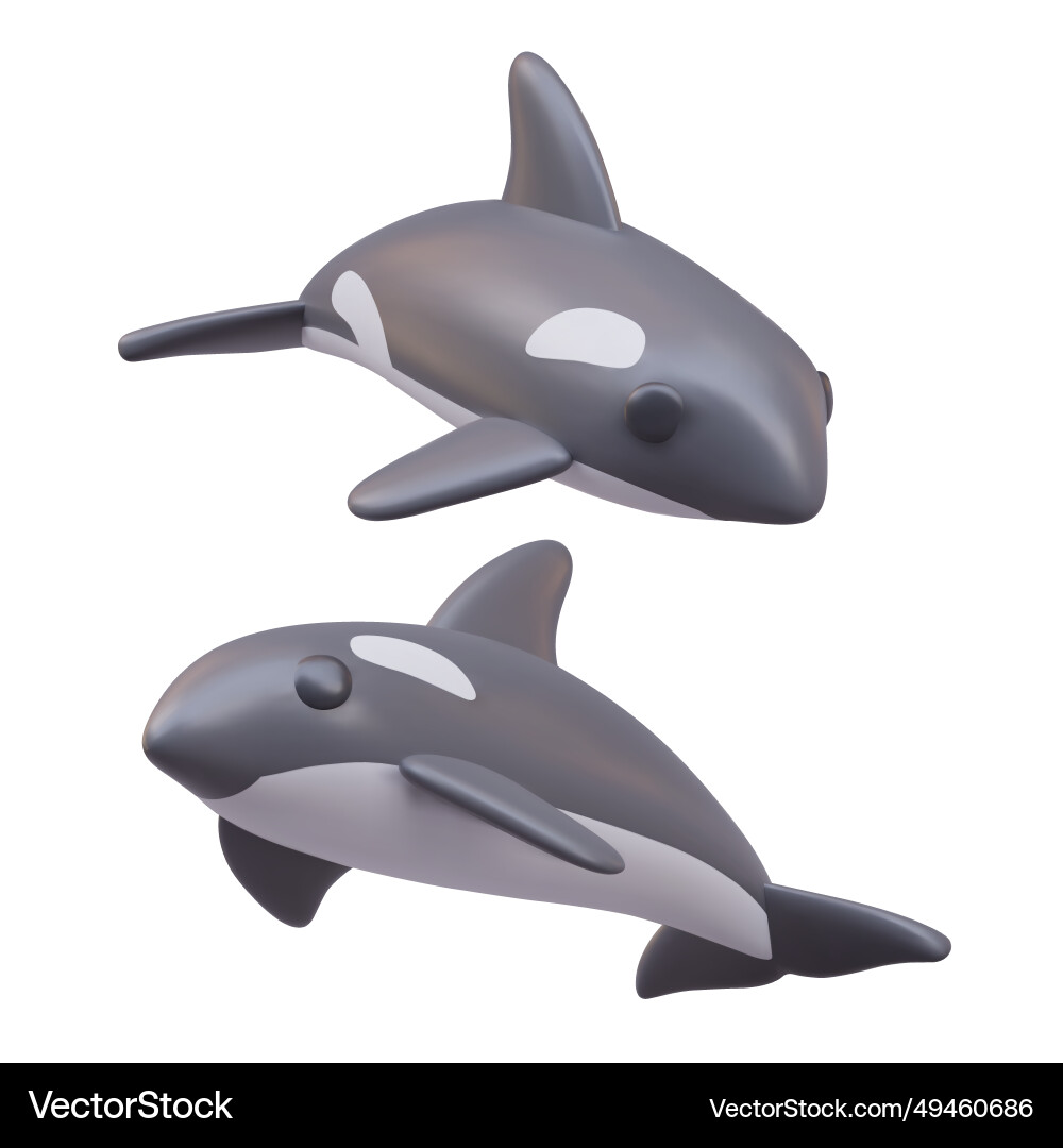 Killer whales in cartoon style 3d ocean Royalty Free Vector