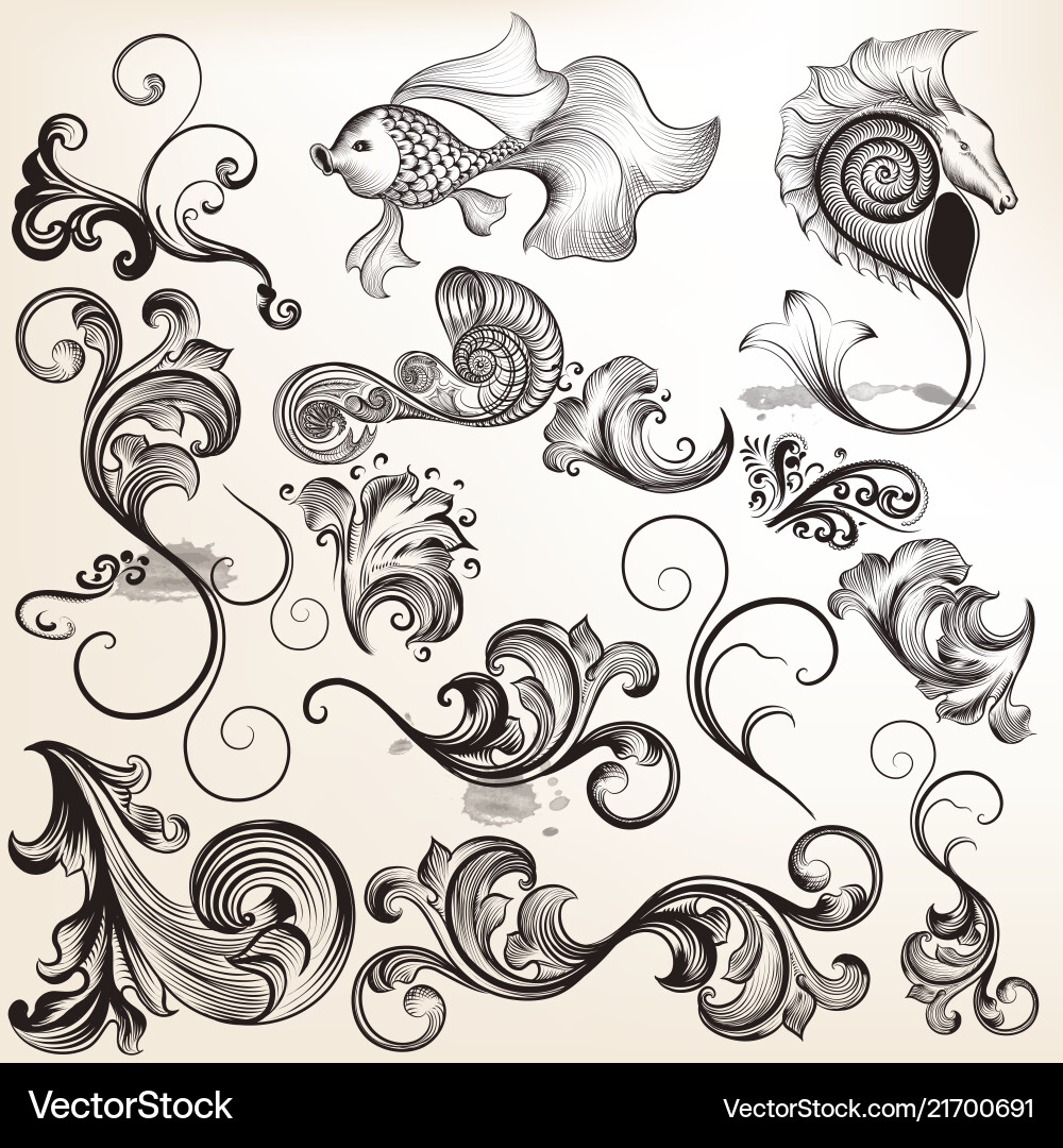 Collection calligraphic elements Royalty Free Vector Image