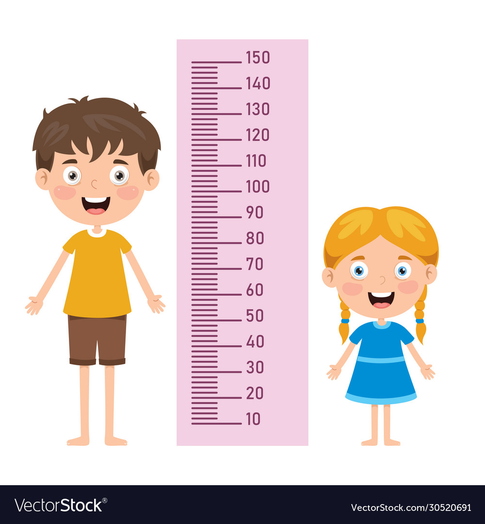 Kids Measuring Height With Measure Scale Vector Stock Vector Image