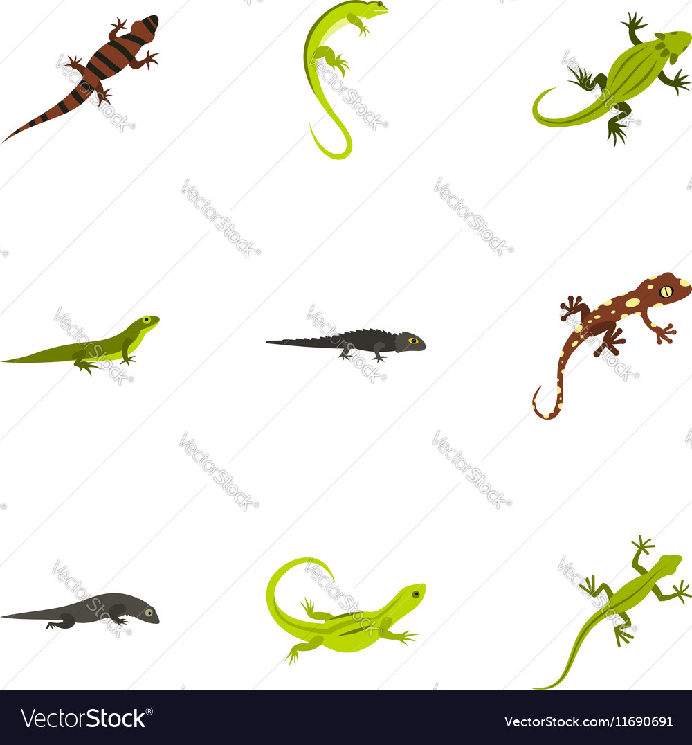 Iguana icons set flat style Royalty Free Vector Image