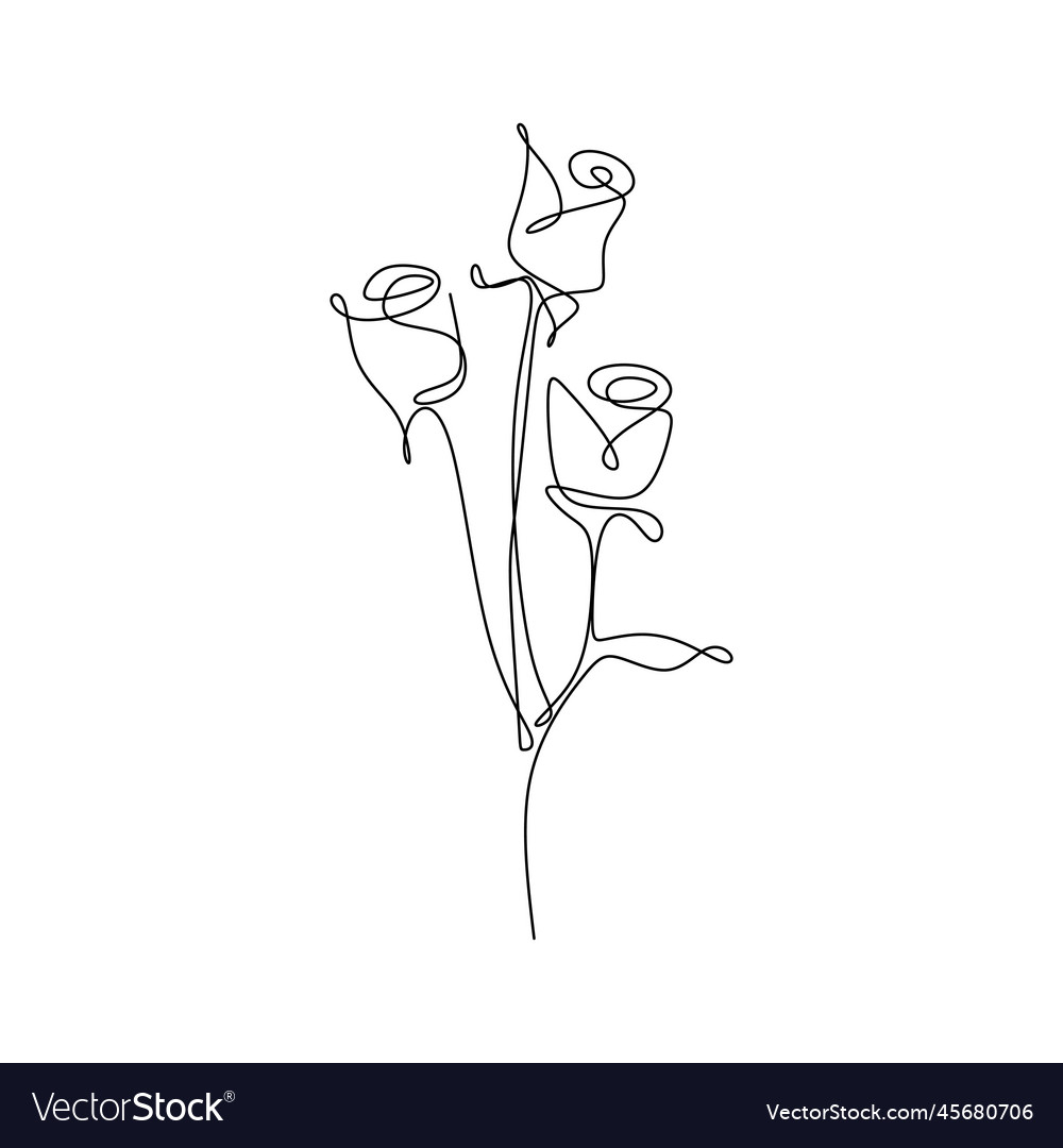 Continuous line drawing of a rose Royalty Free Vector Image