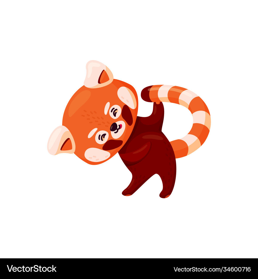 Red Panda Doing Yoga Cute Baby Panda Royalty Free Vector Red Panda Doing Yoga Cute Baby Panda Royalty Free Vector