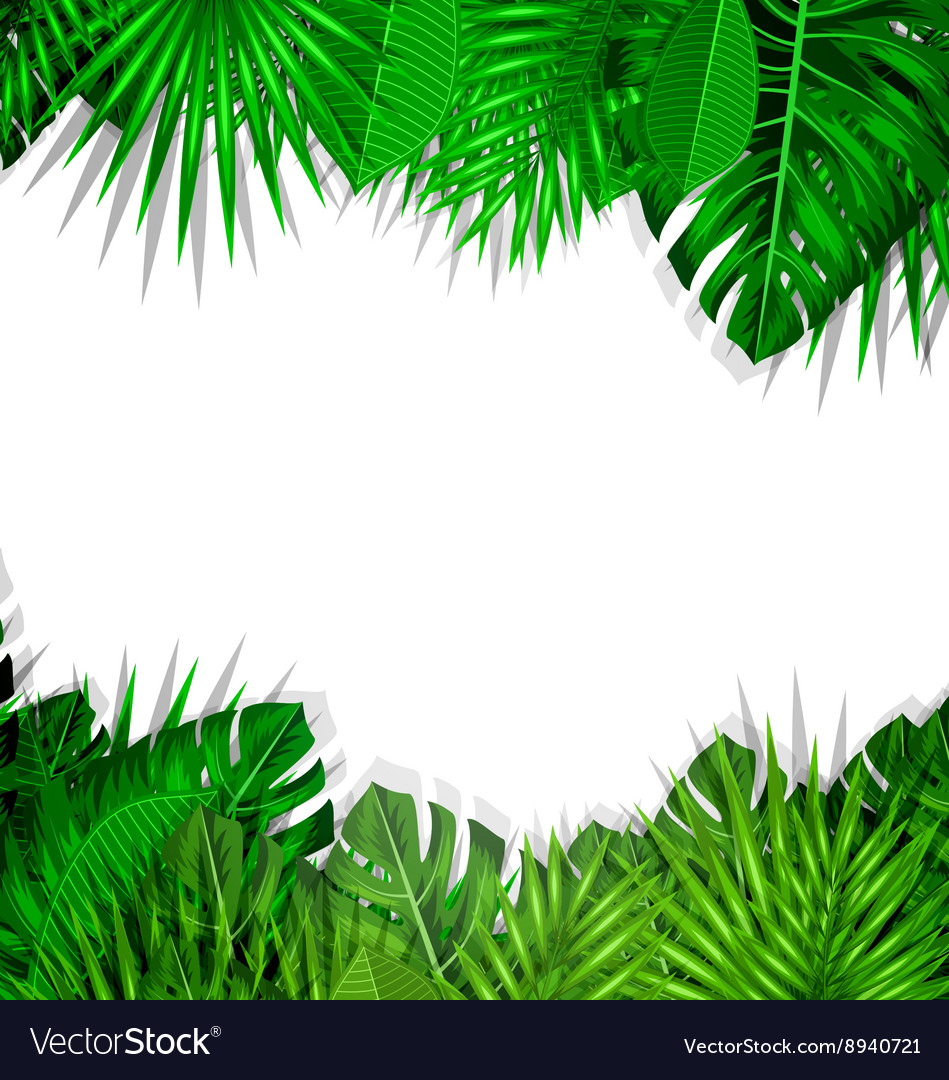 Frame tropical leaves summer background Royalty Free Vector