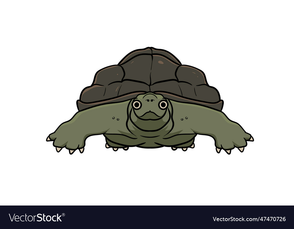 Turtle animal head cartoon wildlife character art Vector Image