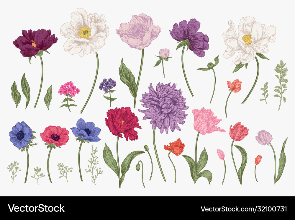 Set with spring flowers Royalty Free Vector Image