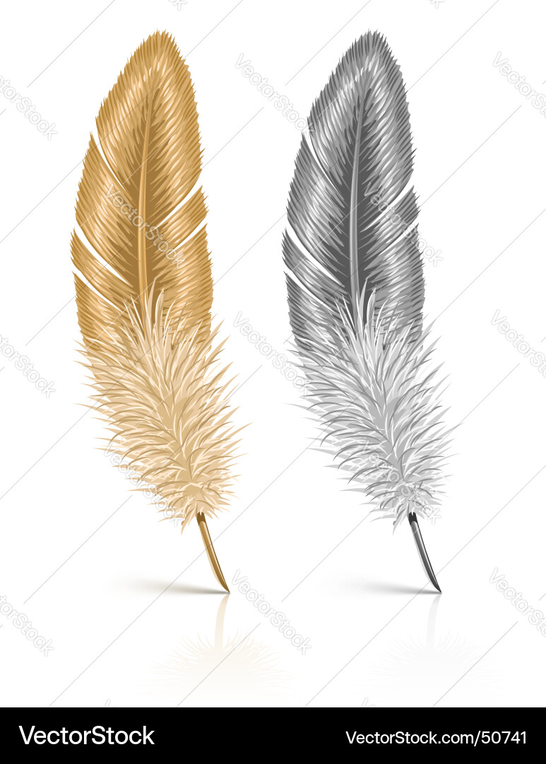 Feather isolated on white background Royalty Free Vector