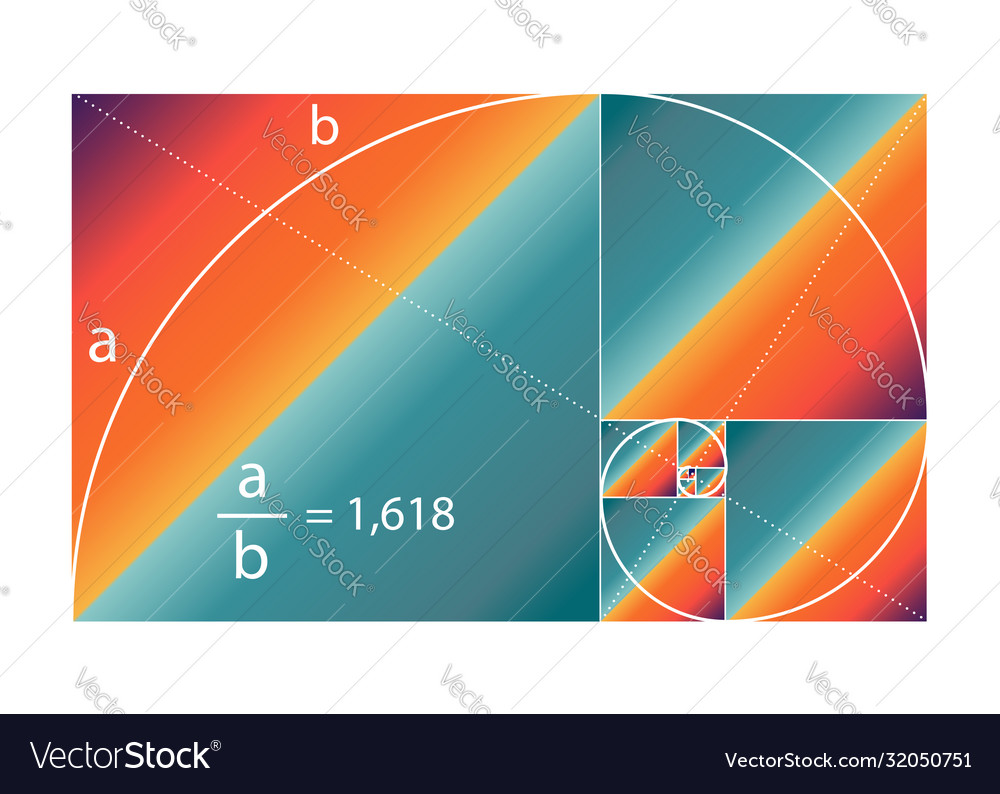 Golden ratio fibonacci number colorful section Vector Image