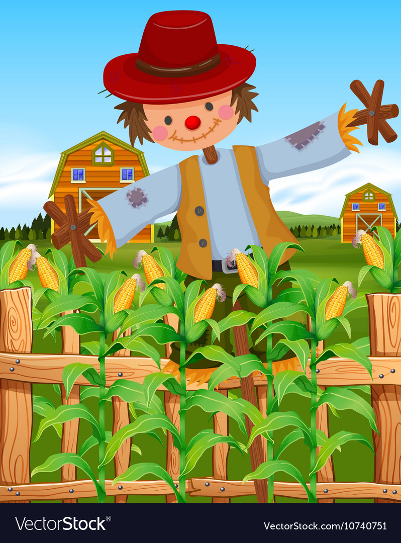 Scarecrow in corn field Royalty Free Vector Image