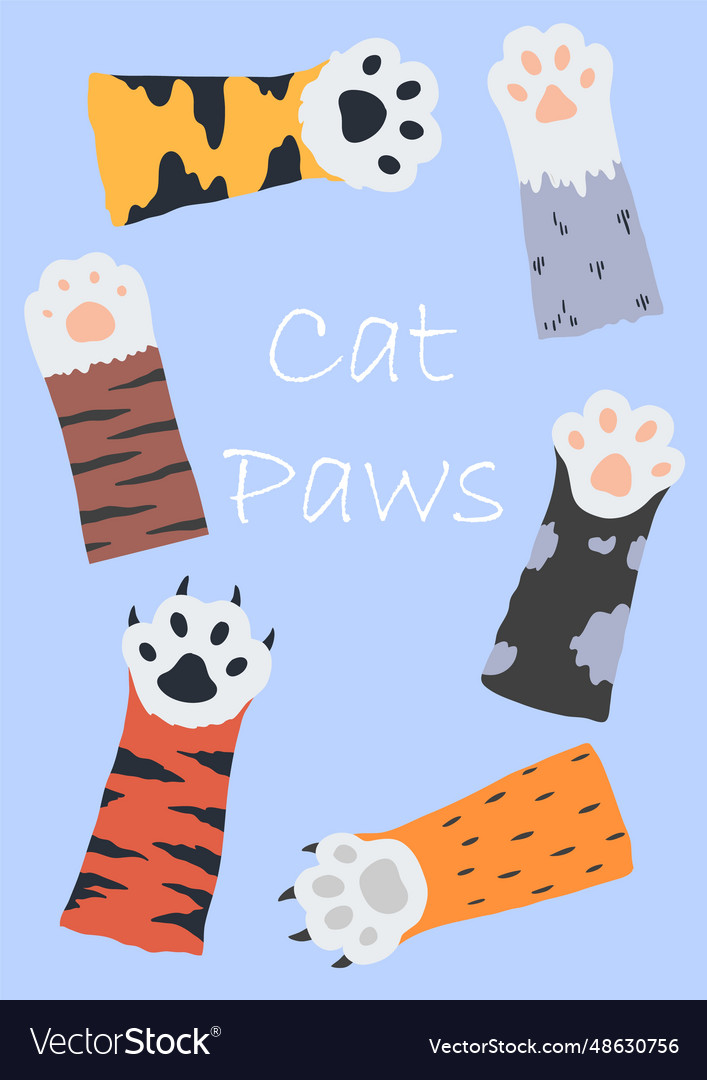 Cat paws cute print poster or card nursery Vector Image