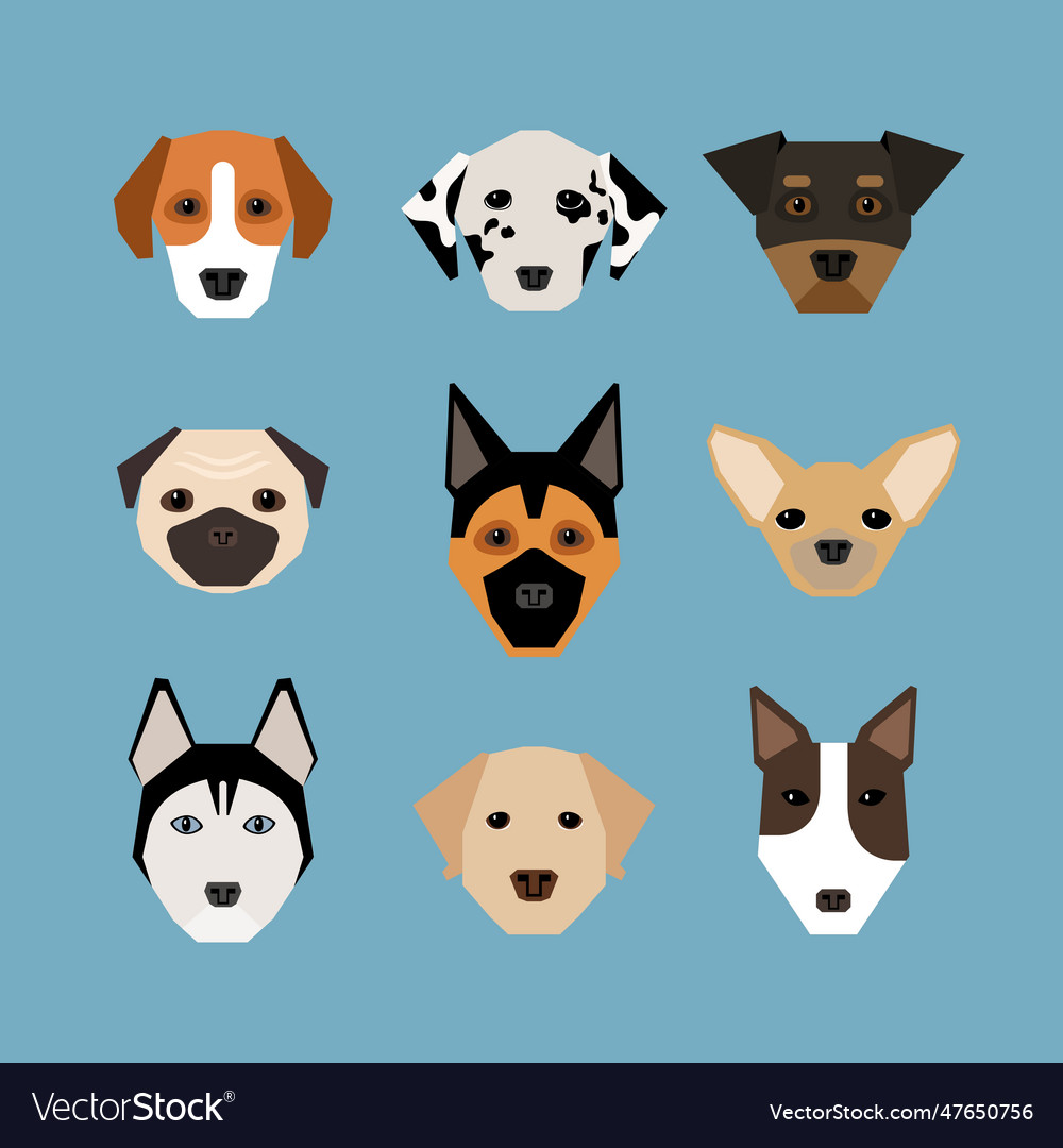 Dogs in flat style in flat style Royalty Free Vector Image