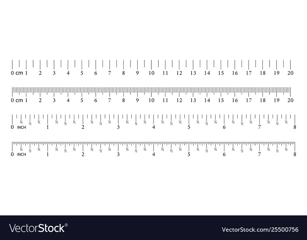 Inch and metric rulers measuring tool ruler Vector Image