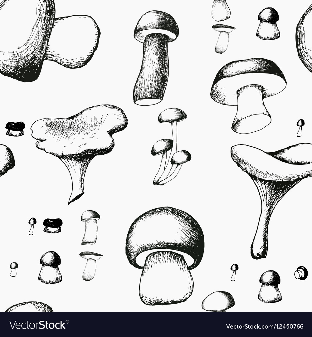 Hand drawn seamless pattern with mushrooms Vector Image