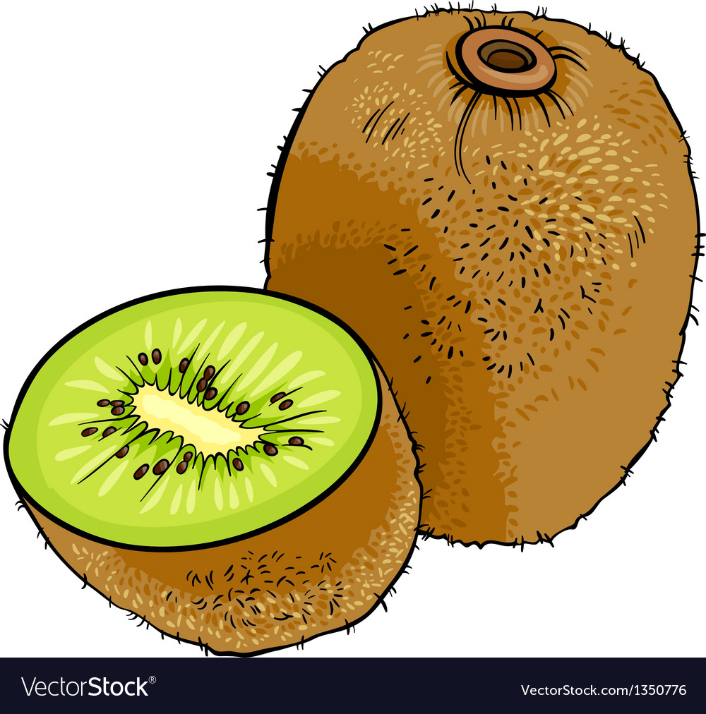 cartoon kiwi