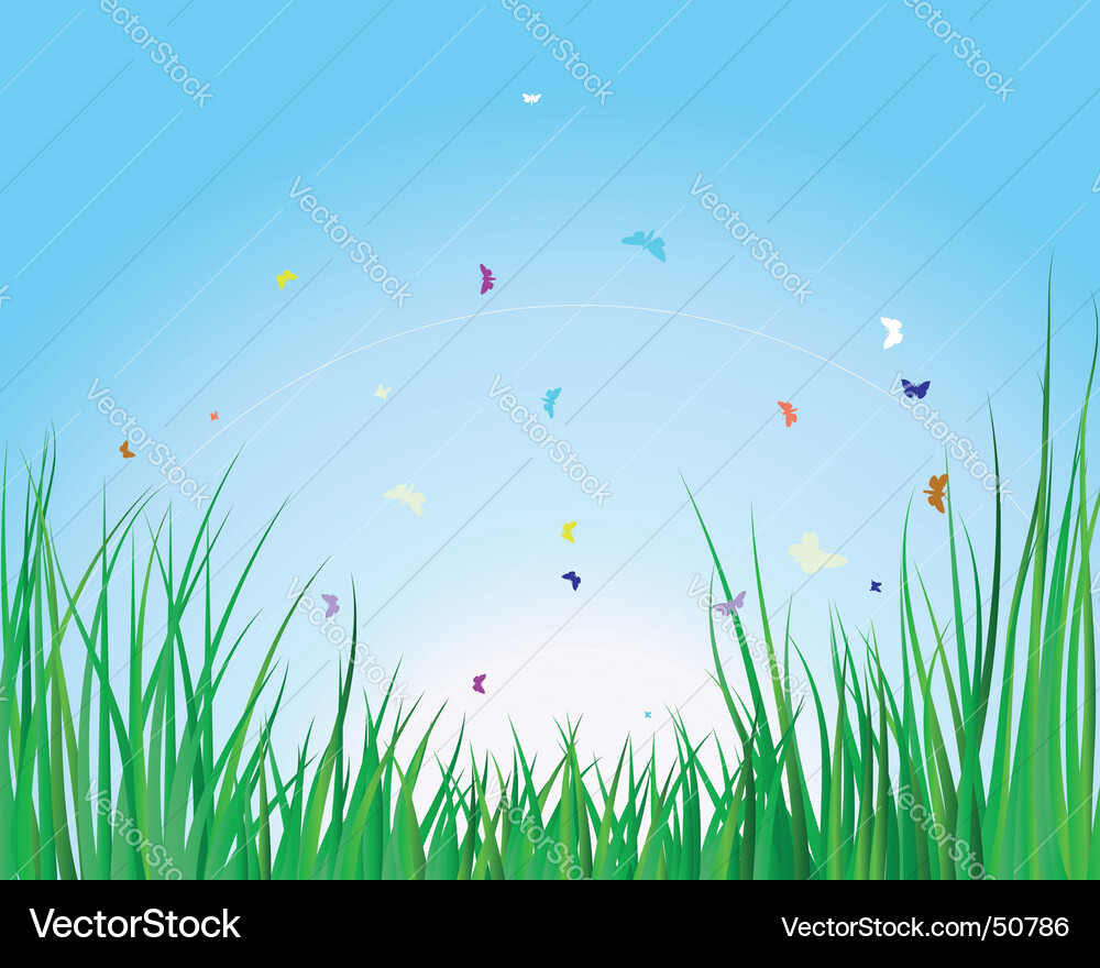 Grass background Royalty Free Vector Image - VectorStock
