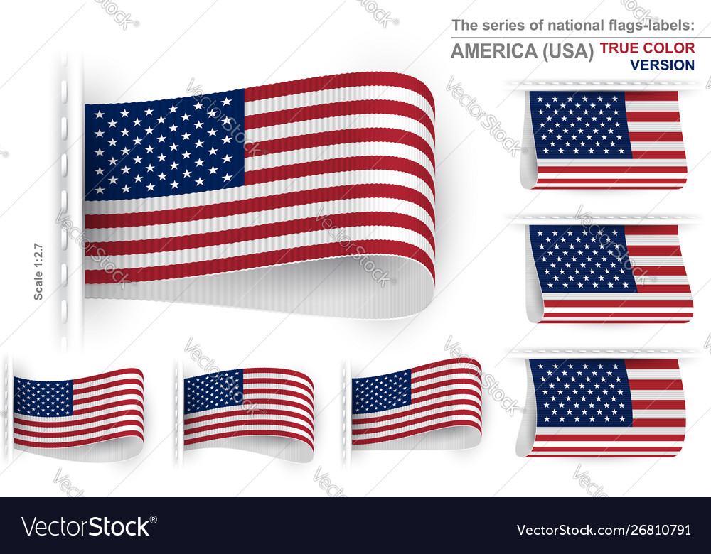 Flag tag clothes label sticker sewn set usa true Vector Image