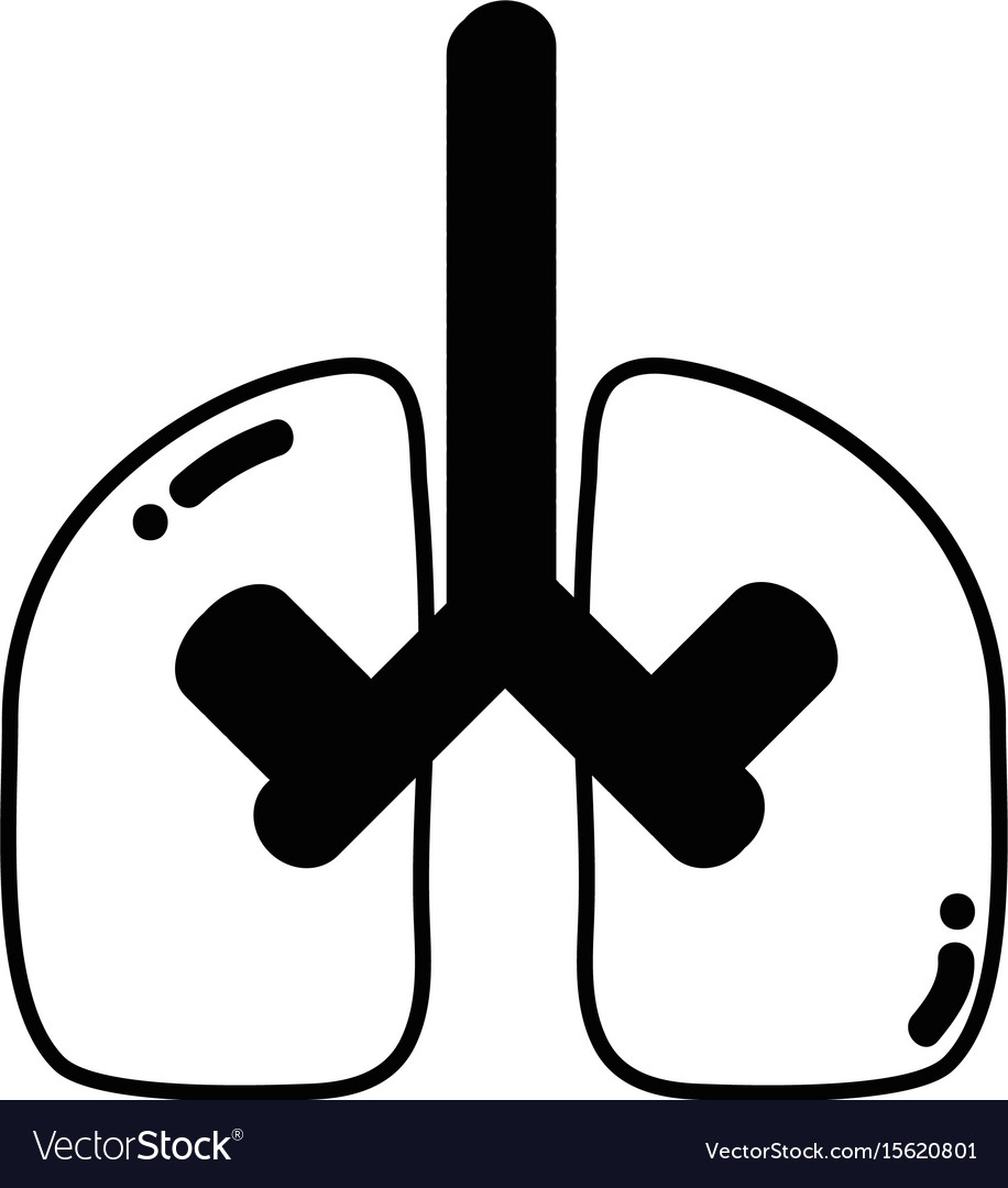 Contour lungs organ to anatomy pulmonary care Vector Image