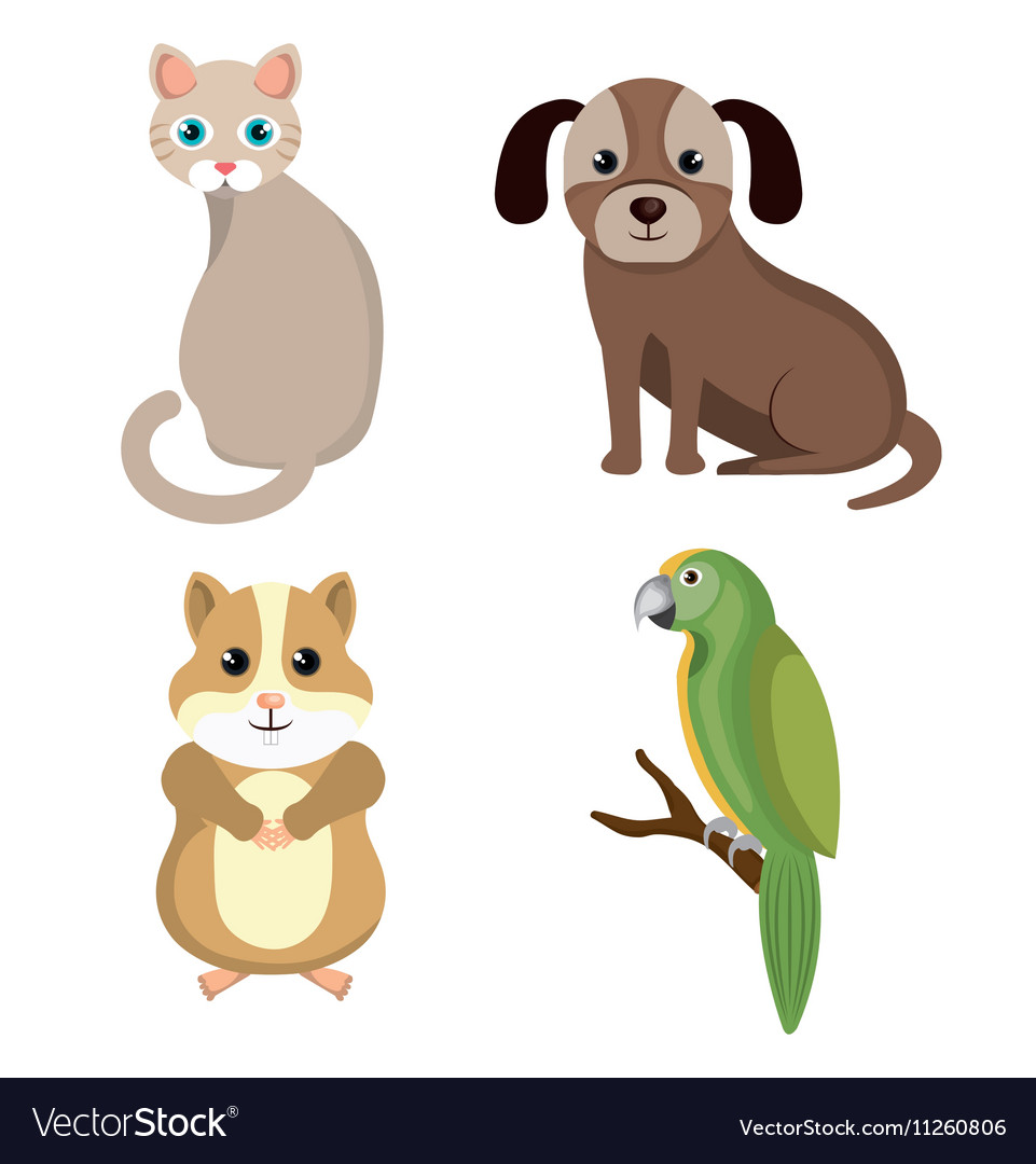 Pet mascot isolated icon Royalty Free Vector Image