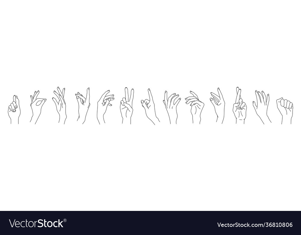 Set linear woman hands isolated on white vector image Set linear woman hands isolated on white