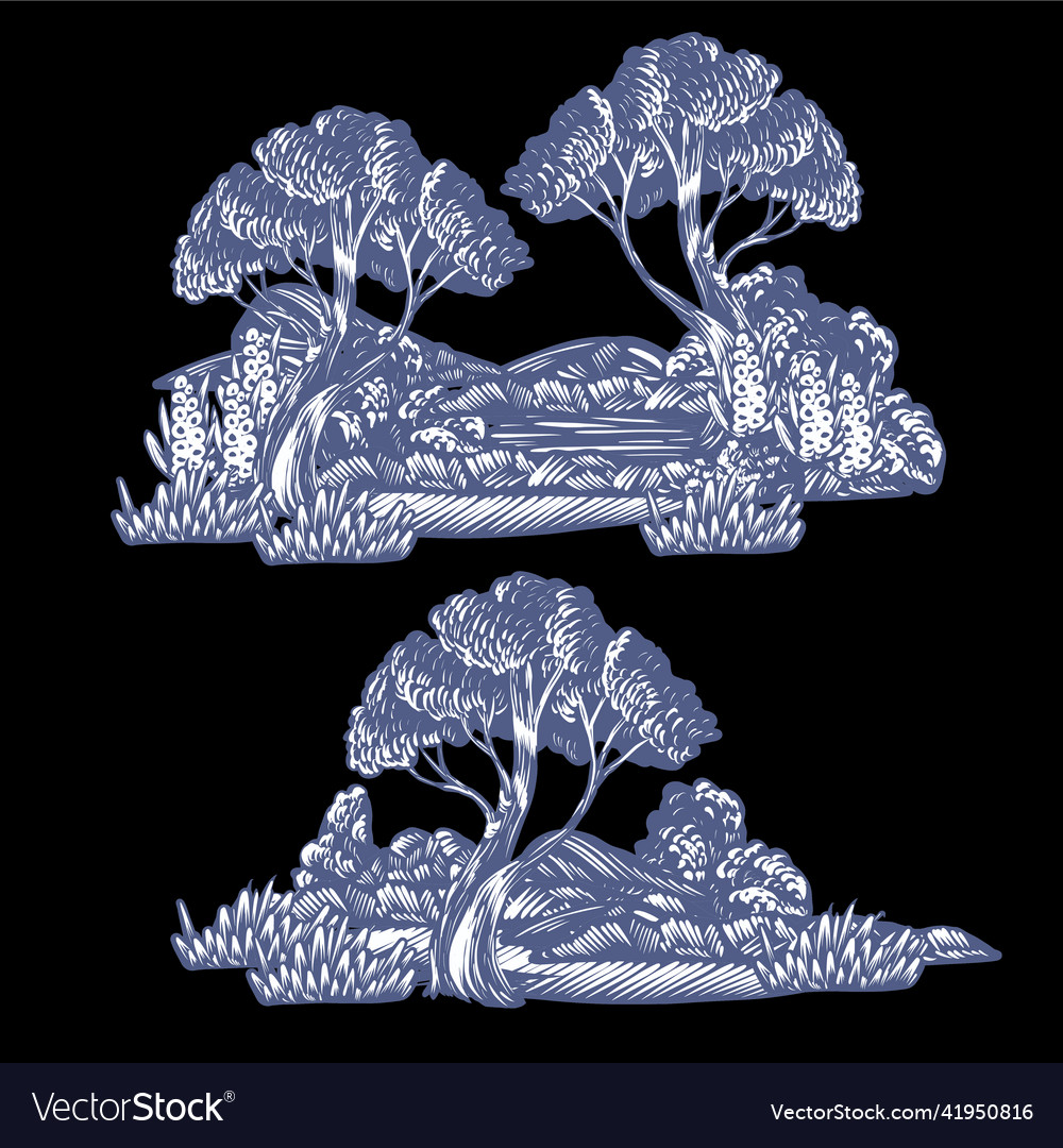 Graphic trees bushes and plants isolated etching Vector Image