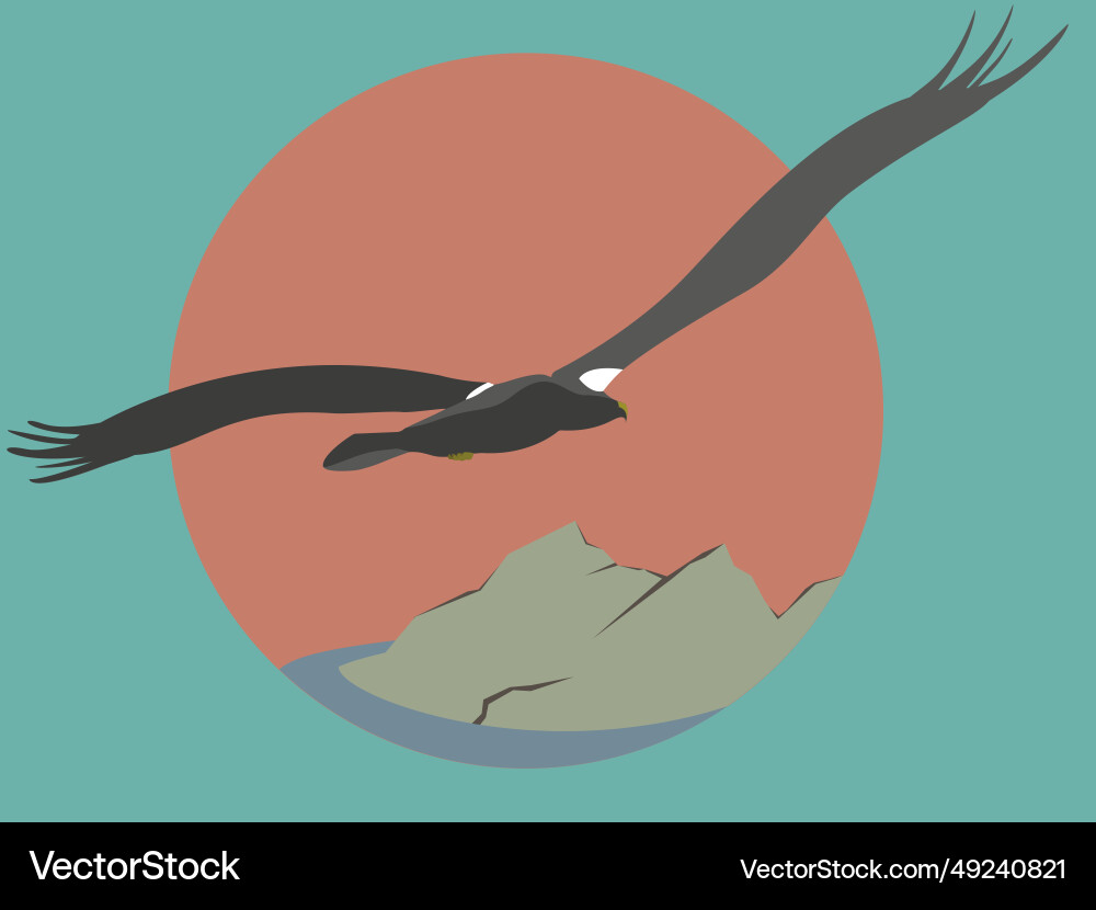 Steller sea eagle bird Royalty Free Vector Image