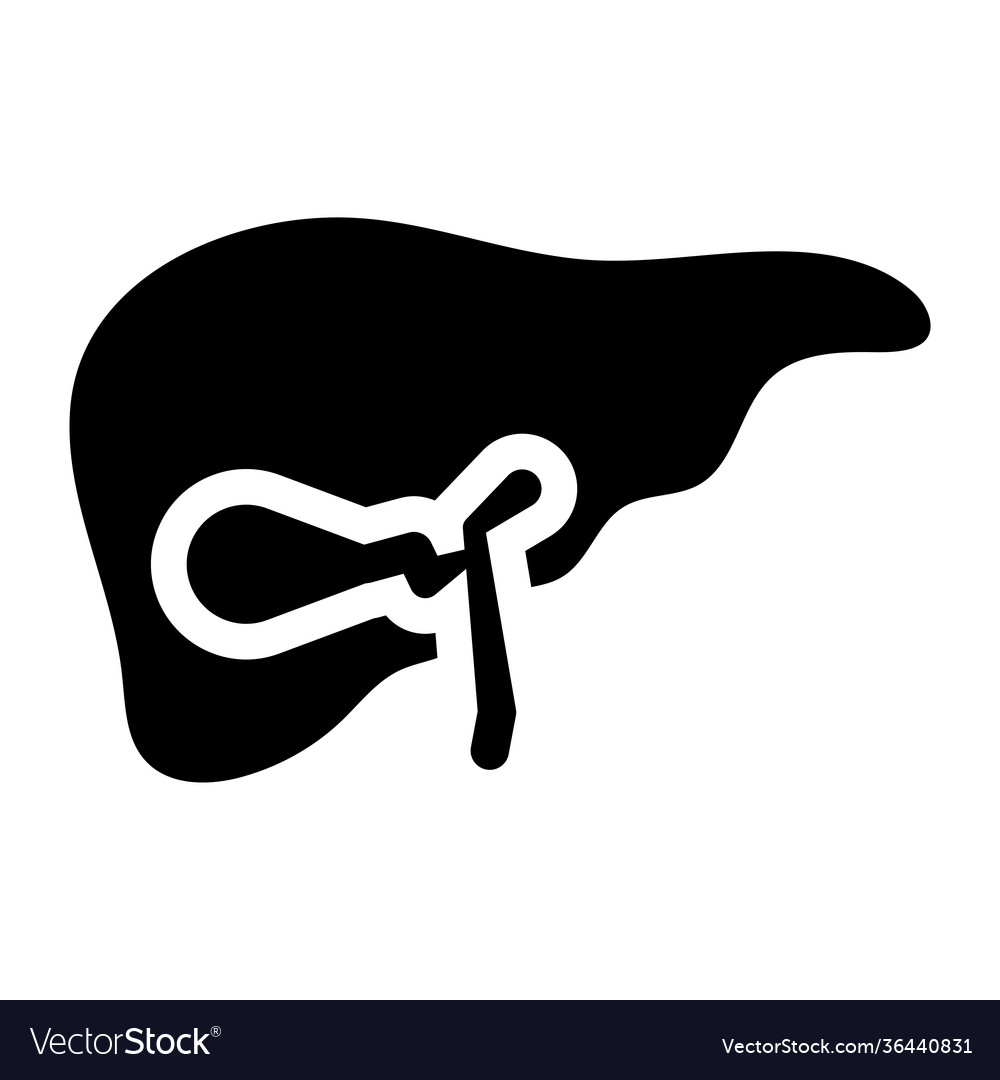 Liver Royalty Free Vector Image - VectorStock