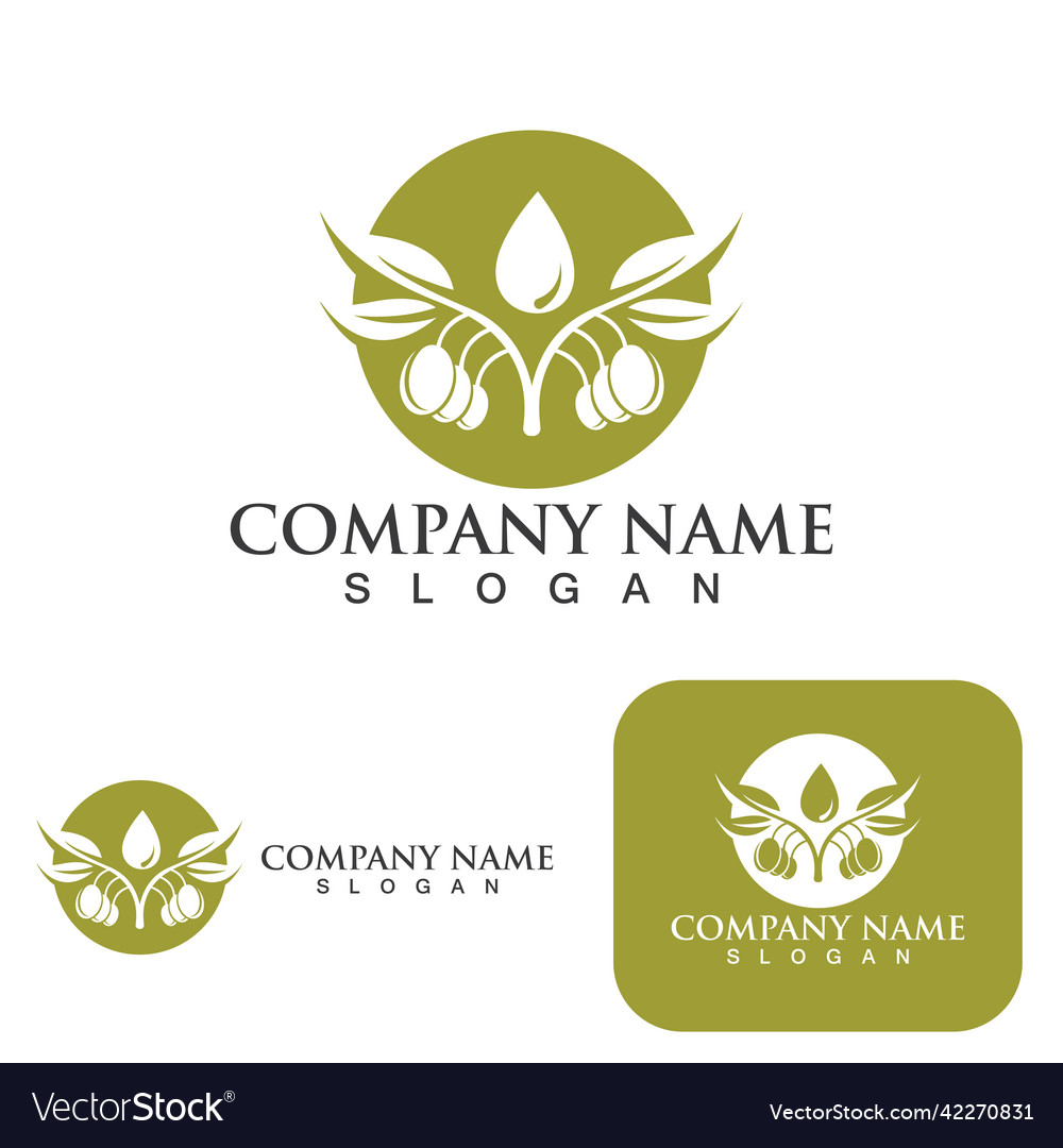 Olive tree Royalty Free Vector Image - VectorStock
