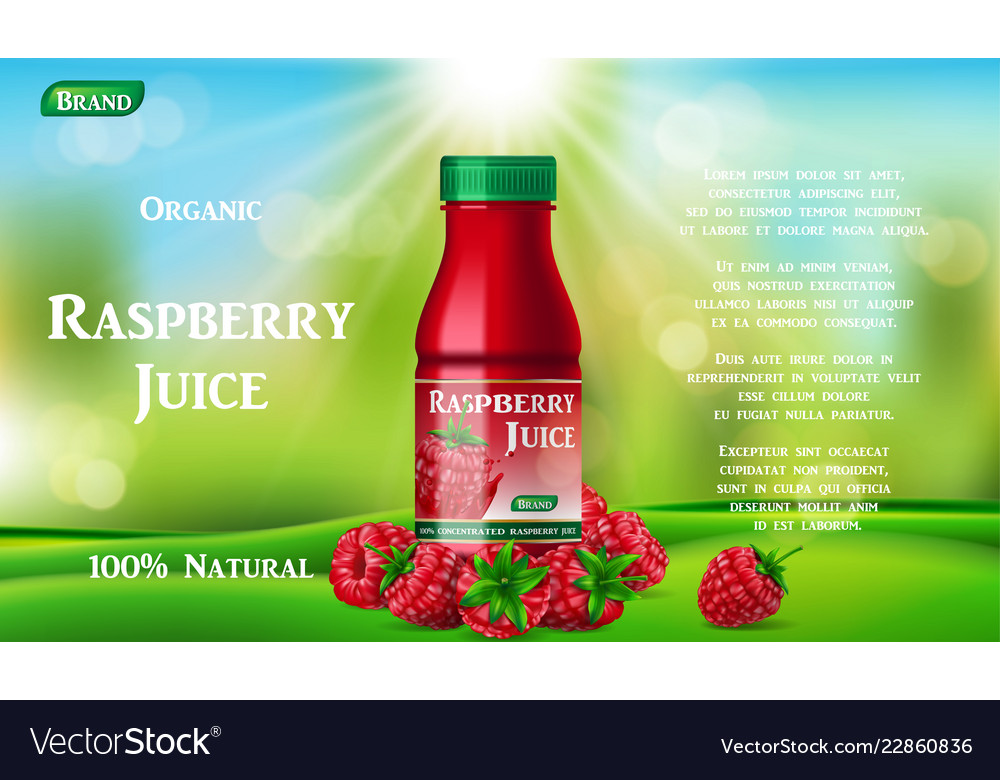 Raspberry juice bottle on green grass fruit juice Vector Image