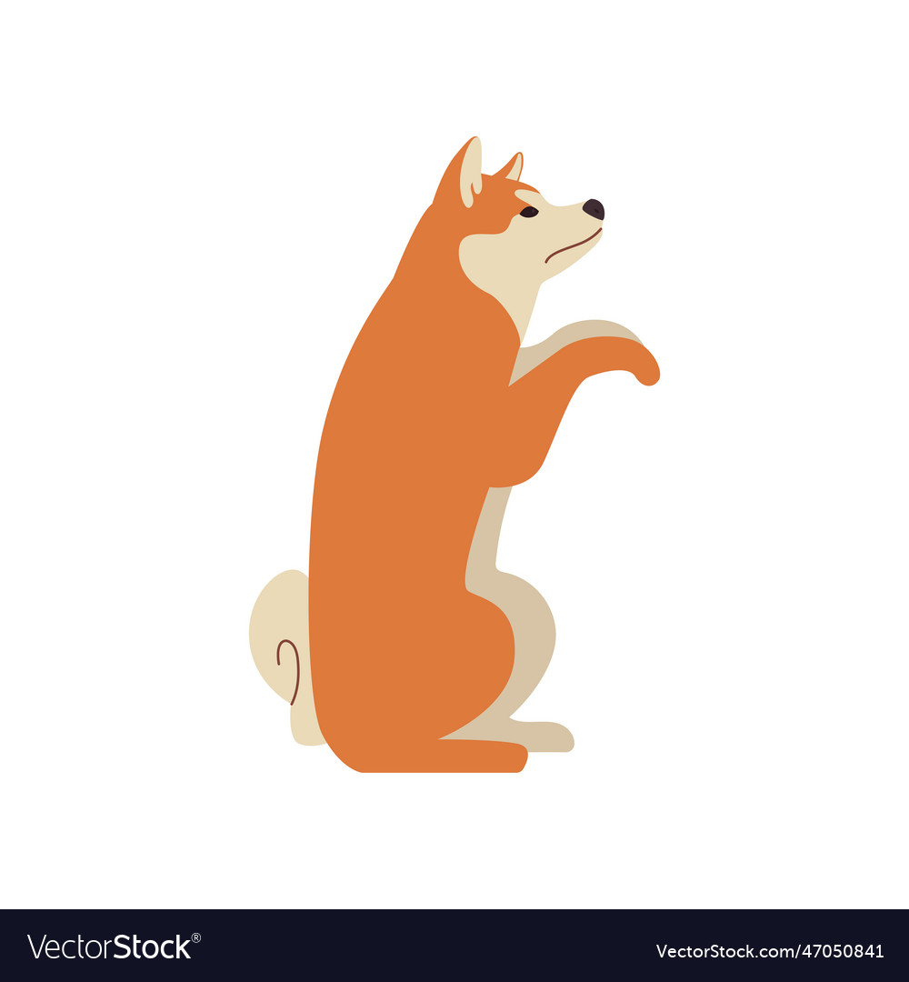 Cute comic shiba inu giving paws Royalty Free Vector Image