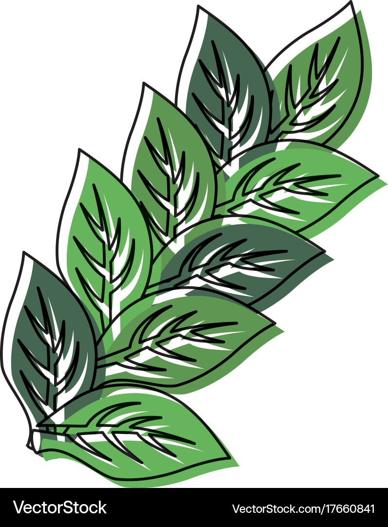 Leaves Royalty Free Vector Image - VectorStock