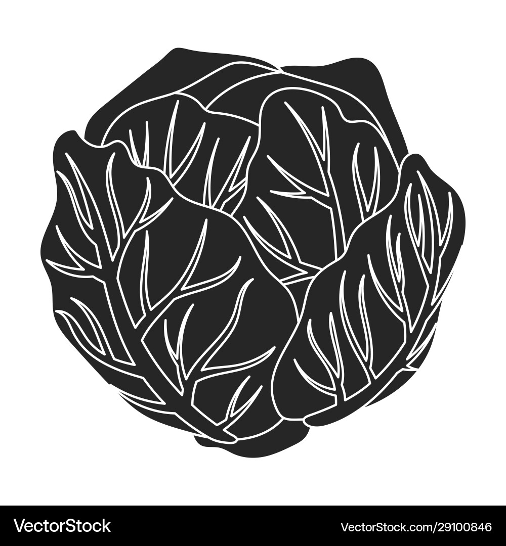 Cabbage iconblacksimple icon Royalty Free Vector Image