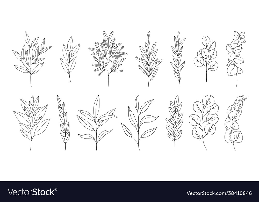 Leaves set line art hand drawn branches Royalty Free Vector