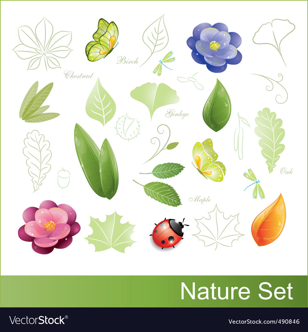 Set Of Nature Elements Royalty Free Vector Image