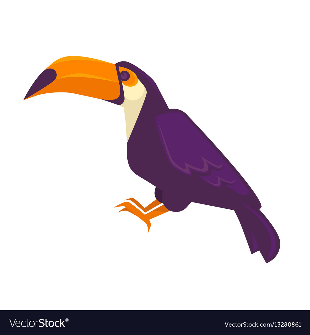 purple toucan bird with long beak big exotic bird vector image
