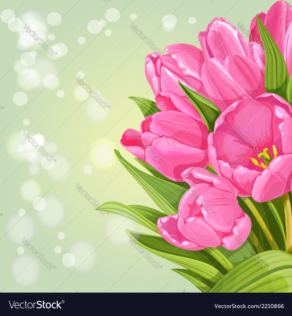 Background of pink tulips Royalty Free Vector Image