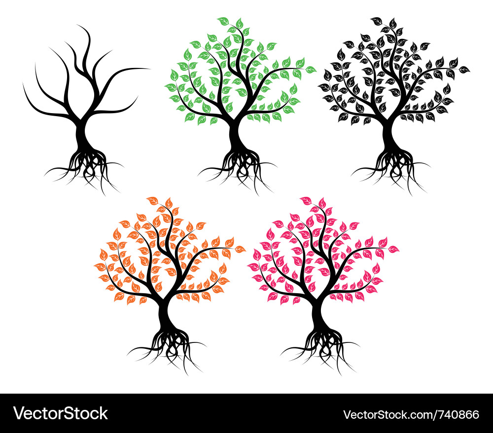 Isolated tree Royalty Free Vector Image - VectorStock