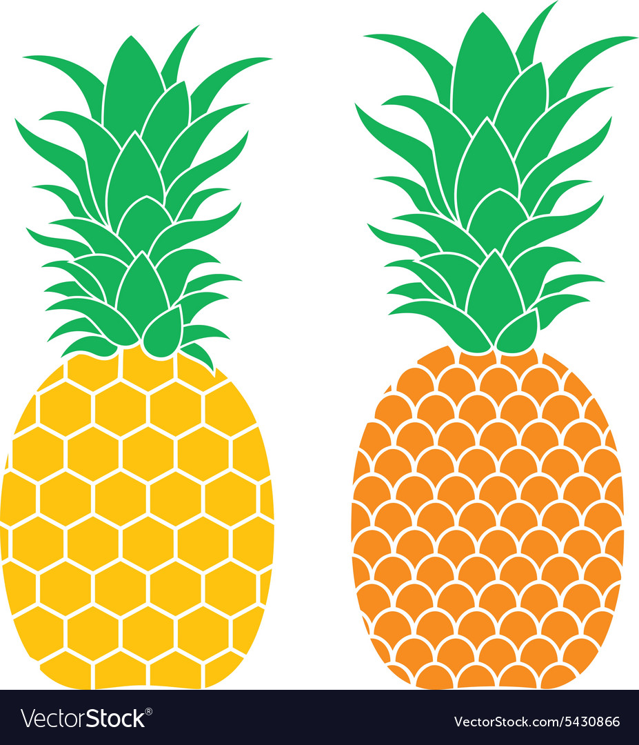 Pineapple Royalty Free Vector Image - VectorStock image.