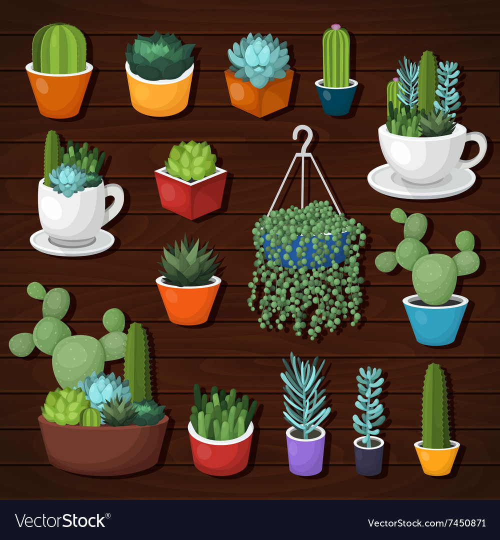 Colorful cactus and succulent set Royalty Free Vector Image