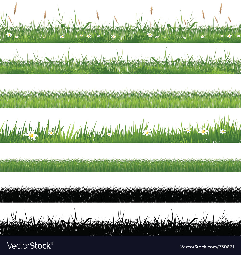 Green grass collection Royalty Free Vector Image