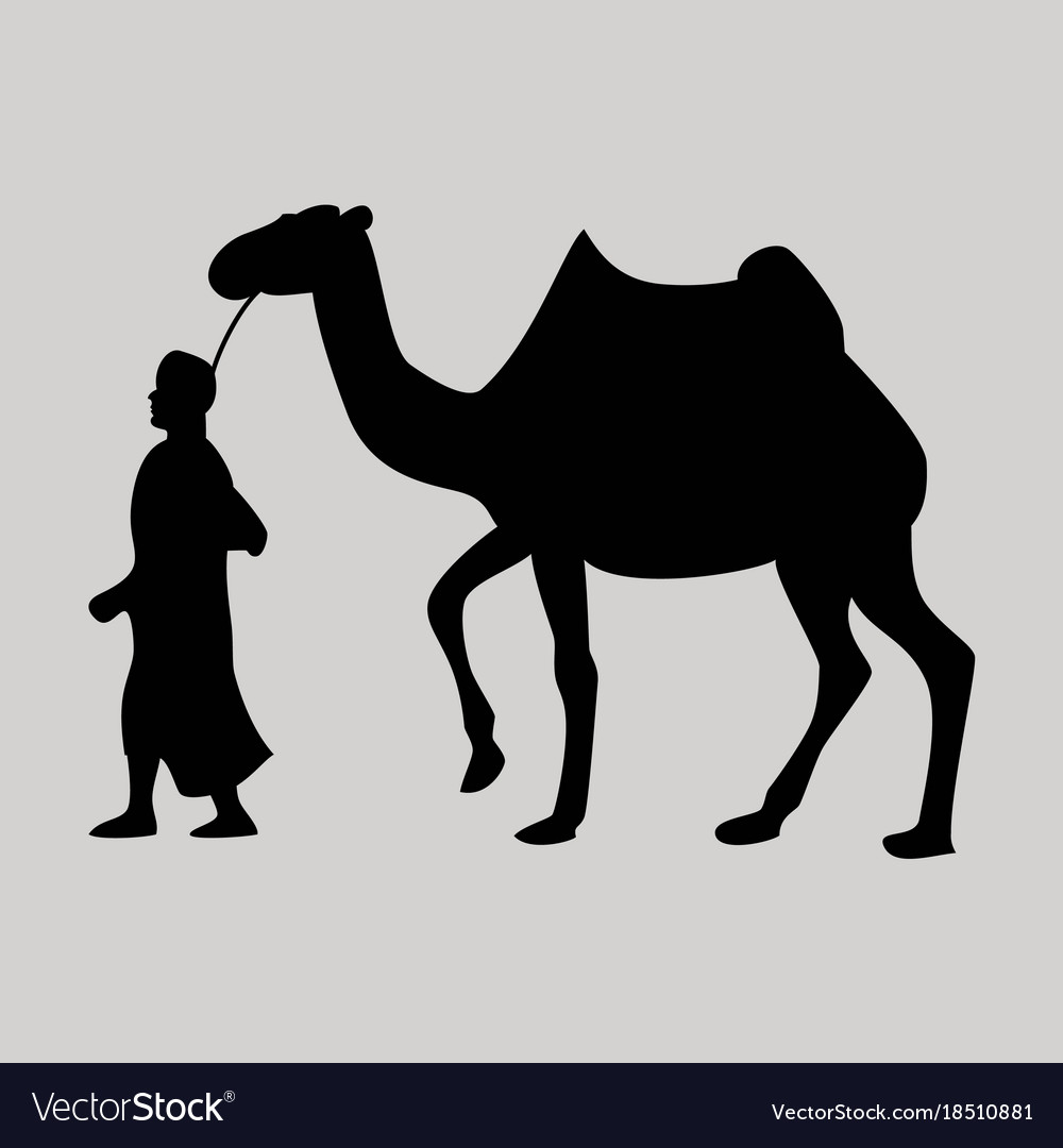 Arab Man Riding Camel Vector Illustration Stock Vector Royalty Free 711238111
