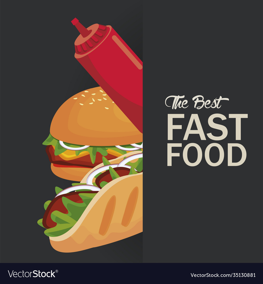 Hamburger and burrito with ketchup delicious fast Vector Image