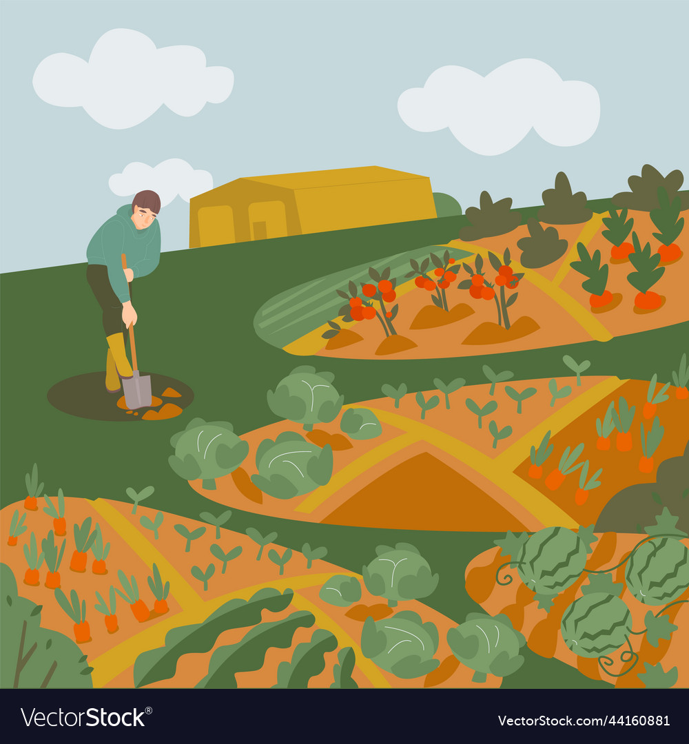 Young farmer working in allotment gardens Vector Image