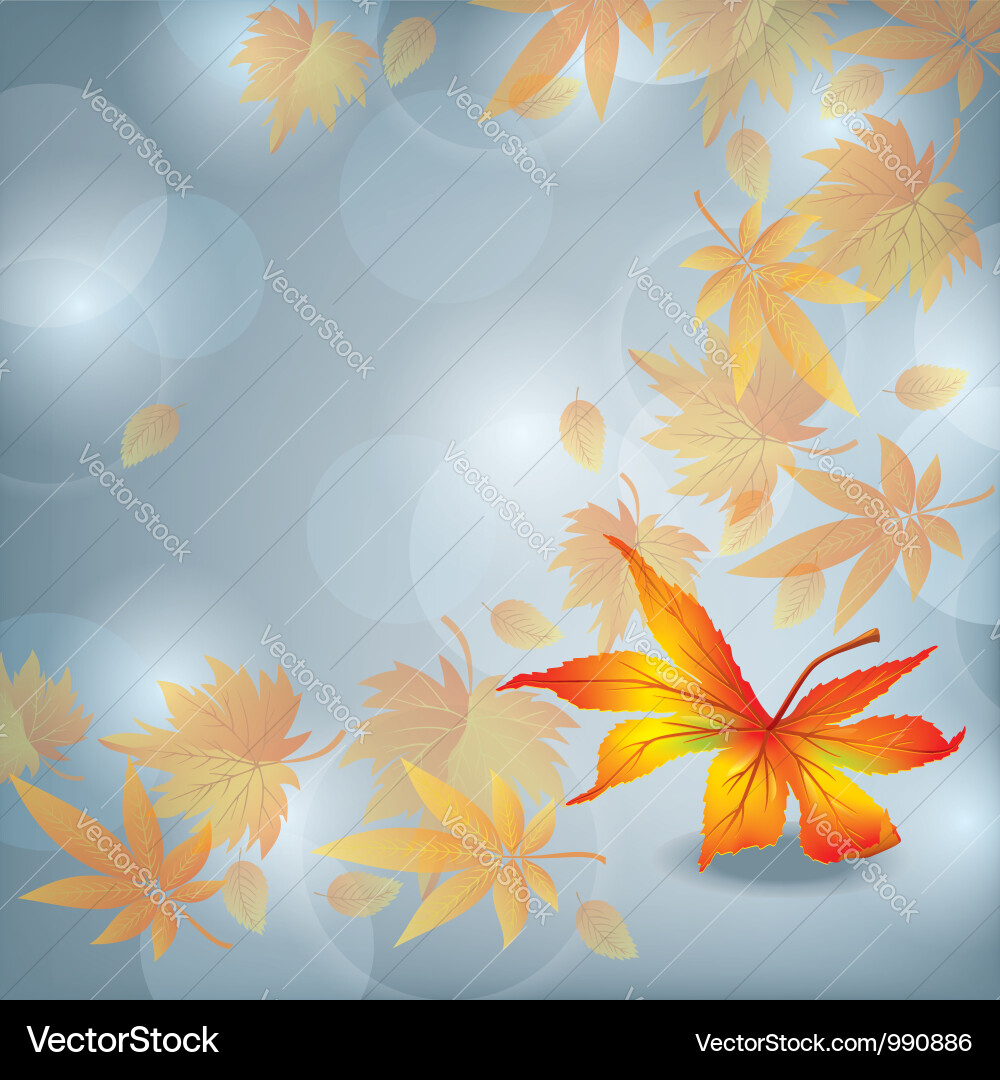 Autumn leaf fall nature background Royalty Free Vector Image