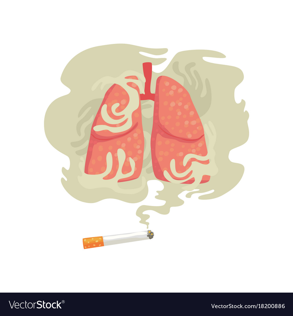 Cigarette smoke and lungs bad habit dangers of Vector Image